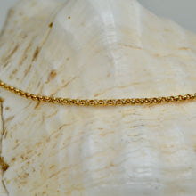 Load image into Gallery viewer, 9ct Gold 16&quot; Belcher Chain
